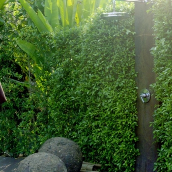 Hecke als Sichtschutz für die Gartendusche Foto: Glowonconcept / shutterstock.com